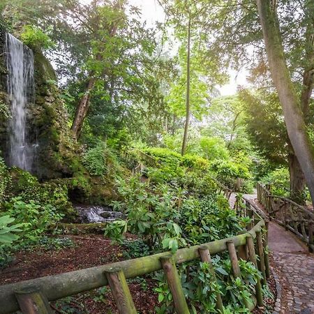 Calme Appart Renove Jardin Des Plantes Busca Toulouse Exterior foto
